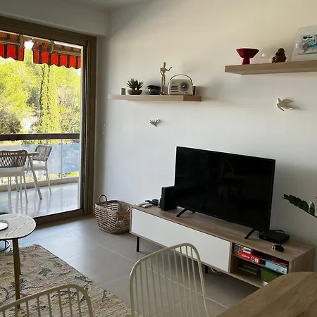 With Terrace In Colline Appartamento Le Cannet